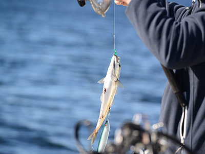 fishing-3