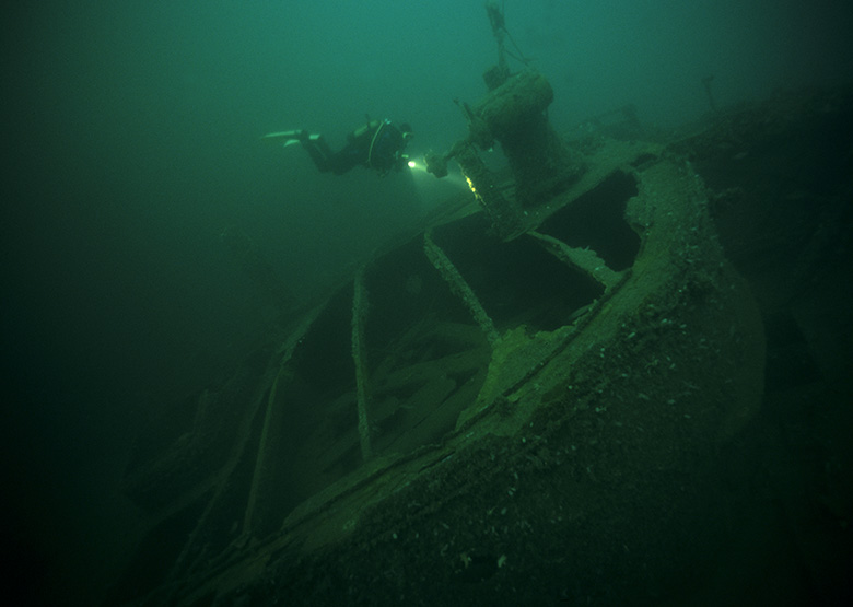 Image result for MS Seattle diving